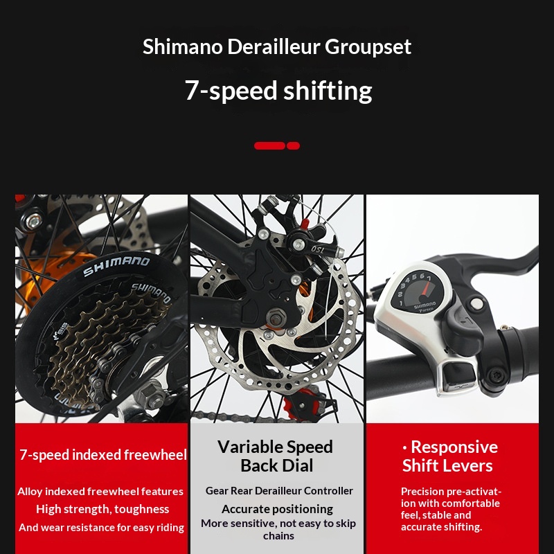 Bicicletta Pieghevole 20 Polli - Commuter Biking recensione e prezzo