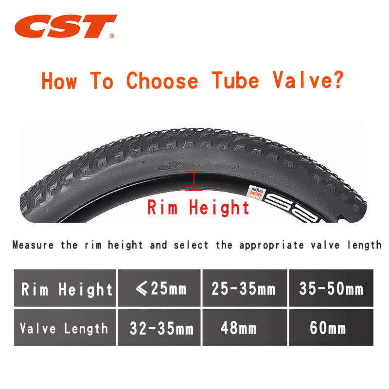 2PCS CST Camera d'aria per bic - Inner Tube 700C recensione e prezzo