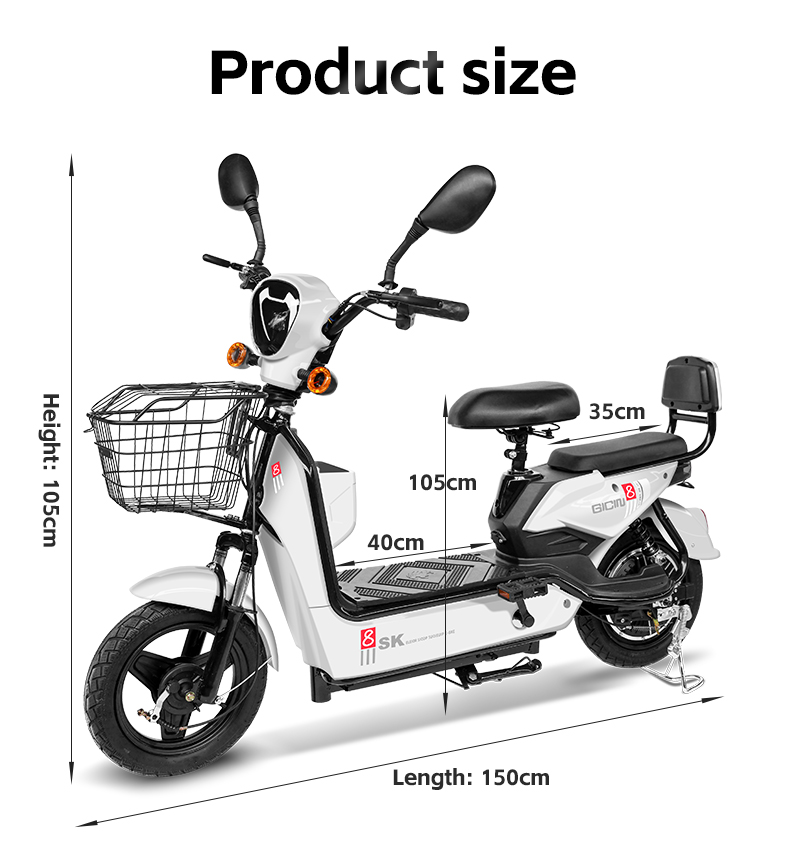 Bicicletta Elettrica da Città  - Cycling In City recensione e prezzo
