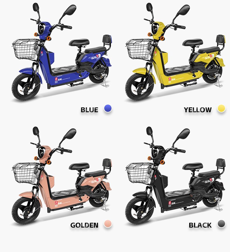 Bicicletta Elettrica da Città  - Cycling In City recensione e prezzo