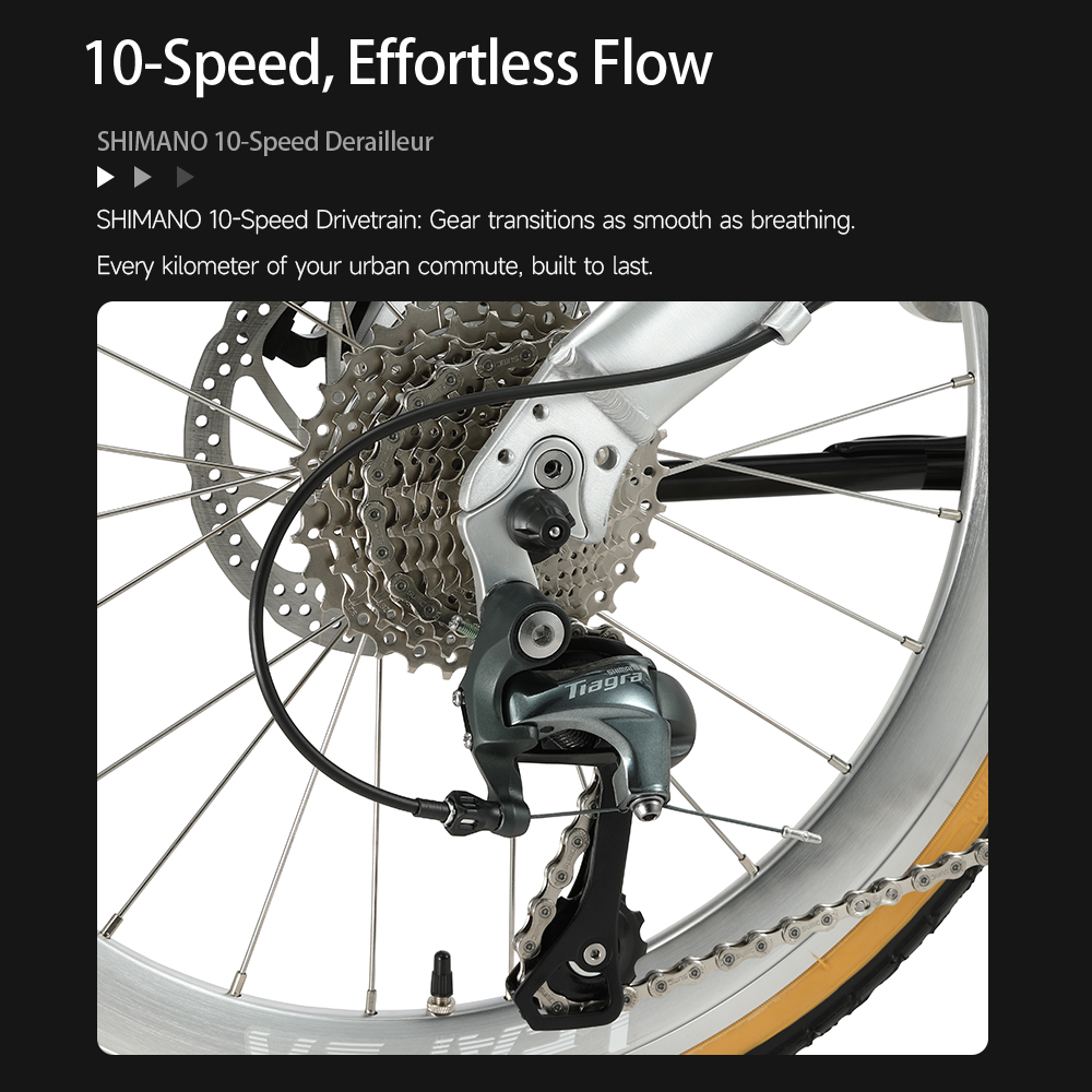 Bicicletta Pieghevole in Pelle - Commuter Biking recensione e prezzo