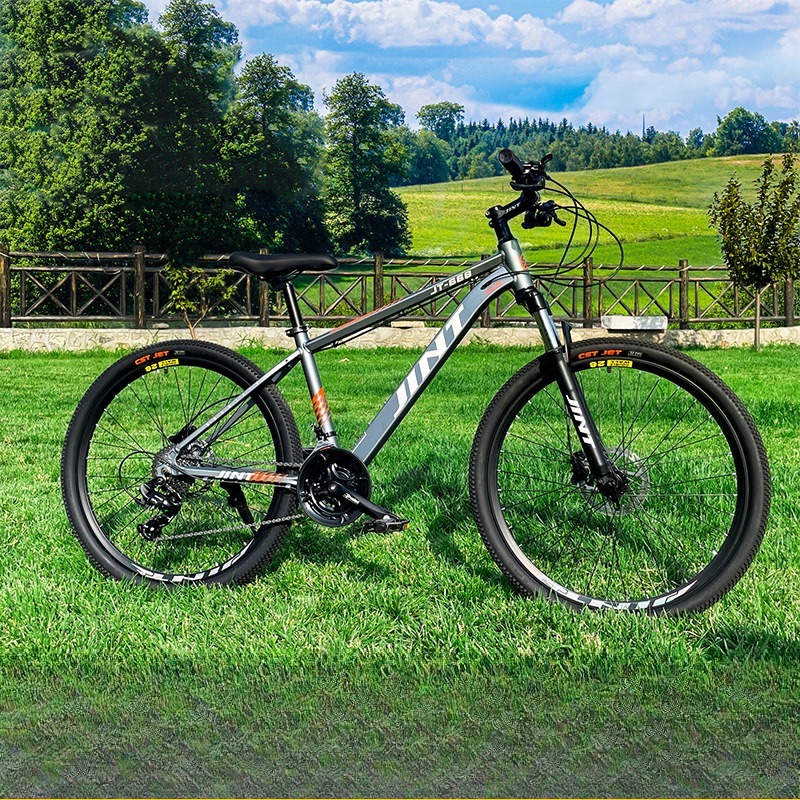 Bicicletta da Strada in Lega d - Commuter Biking recensione e prezzo